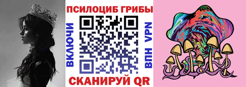 Псилоцибиновые грибы Psilocybe продажа наркотиков Николаевск-на-Амуре